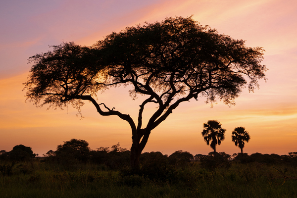 uganda strom sunset